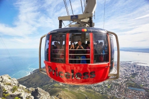 Cape Town: Table Mountain, Penguins & Cape of Good Hope Tour