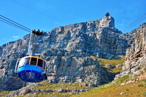 Cape Town: Table Mountain, Penguins & Cape of Good Hope Tour