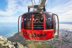 Cape Town: Table Mountain, Penguins & Cape of Good Hope Tour