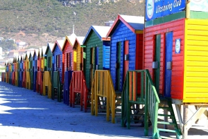 Cape Town: Table Mountain, Penguins & Cape of Good Hope Tour