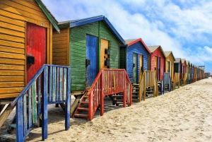 Cape Town: Table Mountain, Penguins & Cape of Good Hope Tour