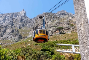 Cape Town: Table Mountain, Penguins & Cape of Good Hope Tour