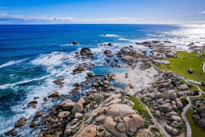 Cape Town: Table Mountain, Penguins & Cape of Good Hope Tour
