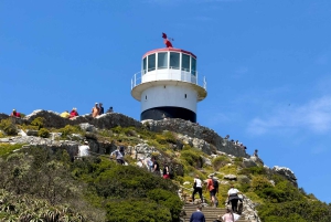 Cape Town: Table Mountain, Penguins & Cape of Good Hope Tour