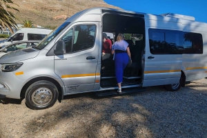 Cape Town: Table Mountain, Penguins & Cape of Good Hope Tour