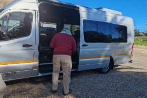 Cape Town: Table Mountain, Penguins & Cape of Good Hope Tour