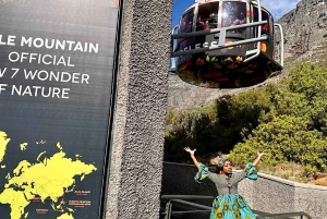 Cape Town: Table Mountain, Penguins & Cape Point Shared Tour