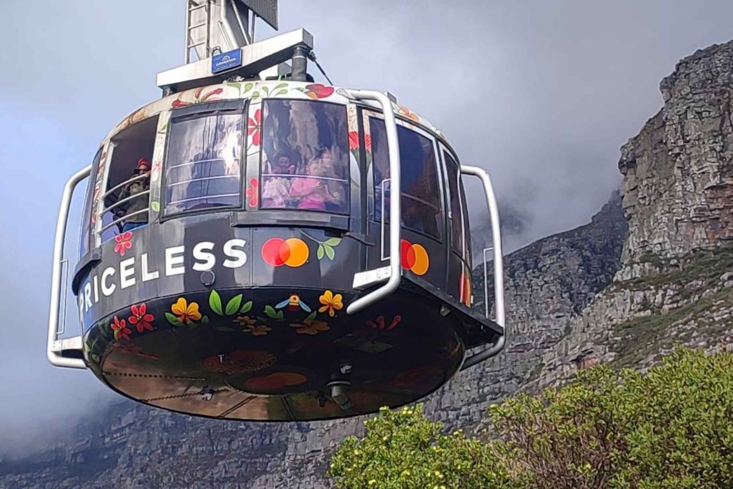 Cape Town: Taffelberg, Cape Point og pingviner – Instagram-omvisning