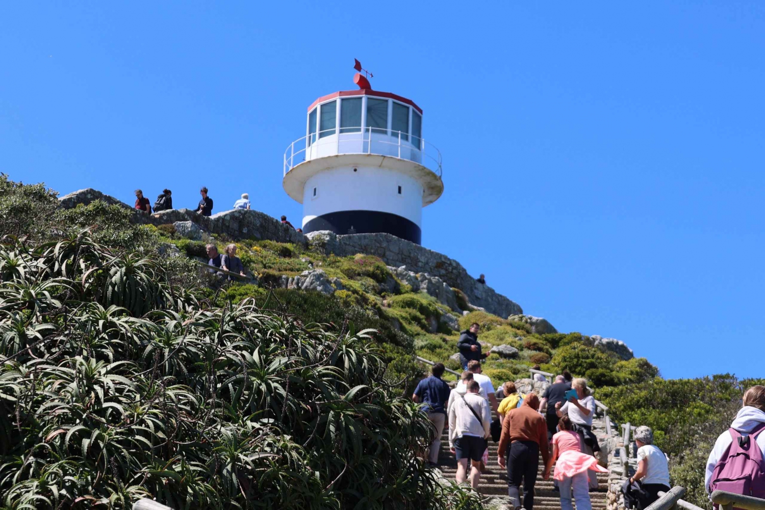 Kapsztad: jednodniowa wycieczka do Cape Point i Boulders Beach Penguin
