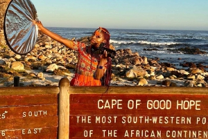 From Cape Town: Cape of Good Hope & Penguins Tour