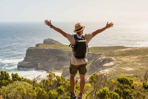 From Cape Town: Cape of Good Hope & Penguins Tour