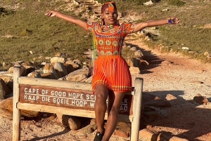 From Cape Town: Cape of Good Hope & Penguins Tour