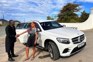 From Cape Town: Cape of Good Hope & Penguins Tour