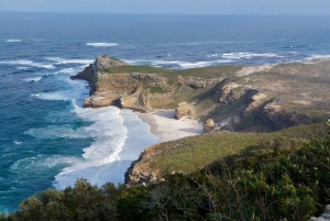 From Cape Town: Cape of Good Hope & Penguins Tour