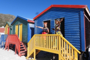 From Cape Town: Cape of Good Hope & Penguins Tour