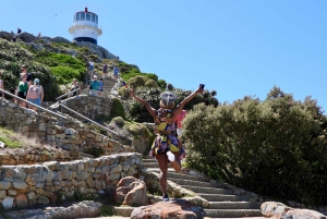 From Cape Town: Cape of Good Hope & Penguins Tour