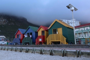 From Cape Town: Cape Point & Boulders Beach Full-Day Tour