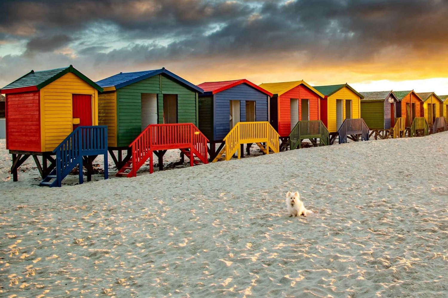 Città del Capo: Tour di un giorno intero della penisola del Capo con trasferimenti
