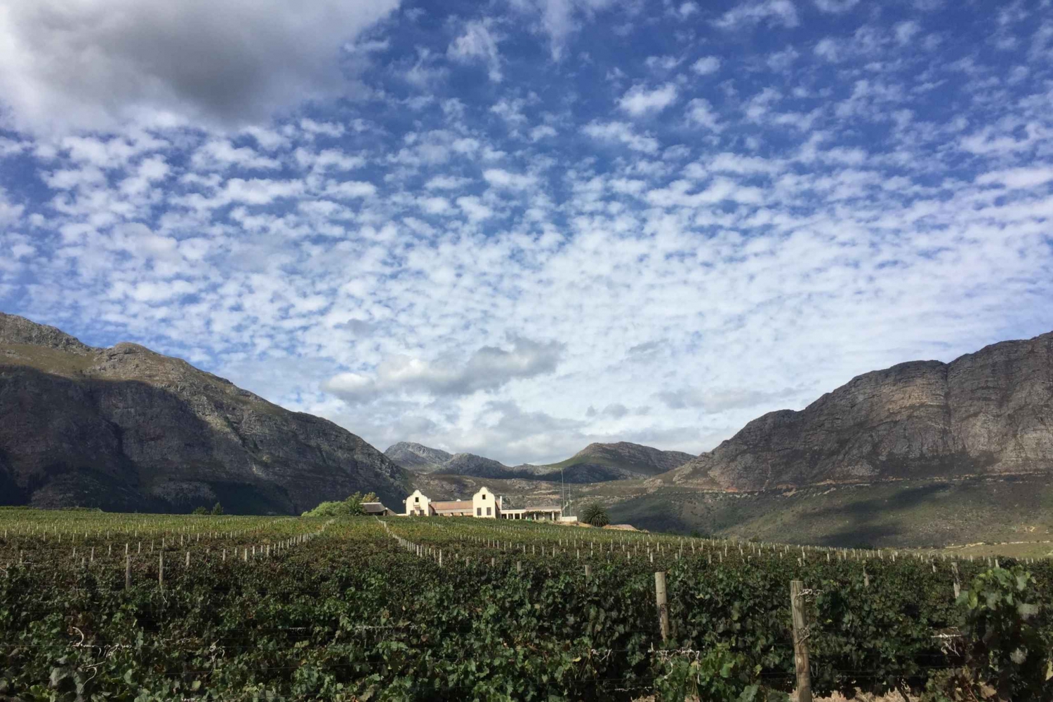 Full-Day Private Wine Route Tour