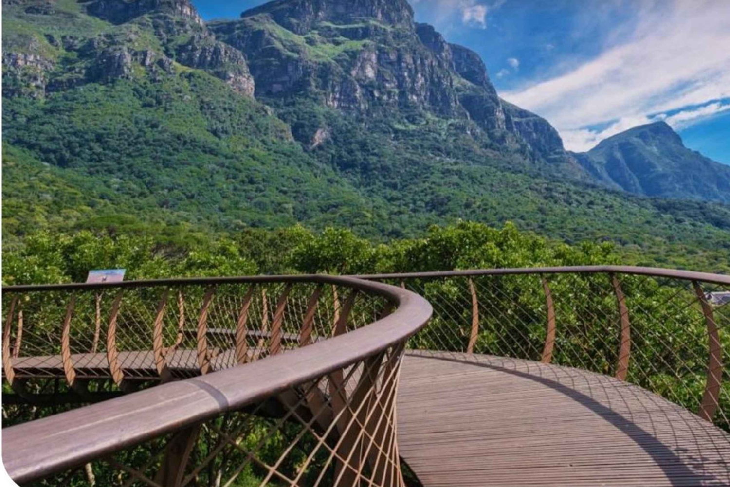 Полный день на острове Роббен и горе Столовая гора