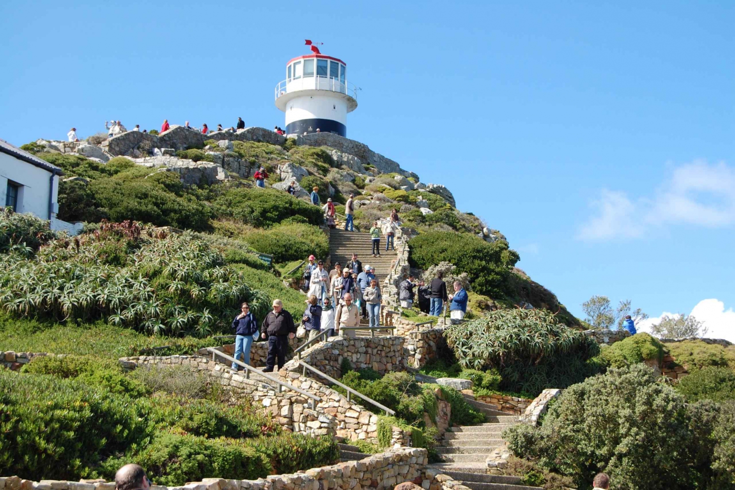 Von Kapstadt: Halbtagestour zum Cape Point und zu den Pinguinen