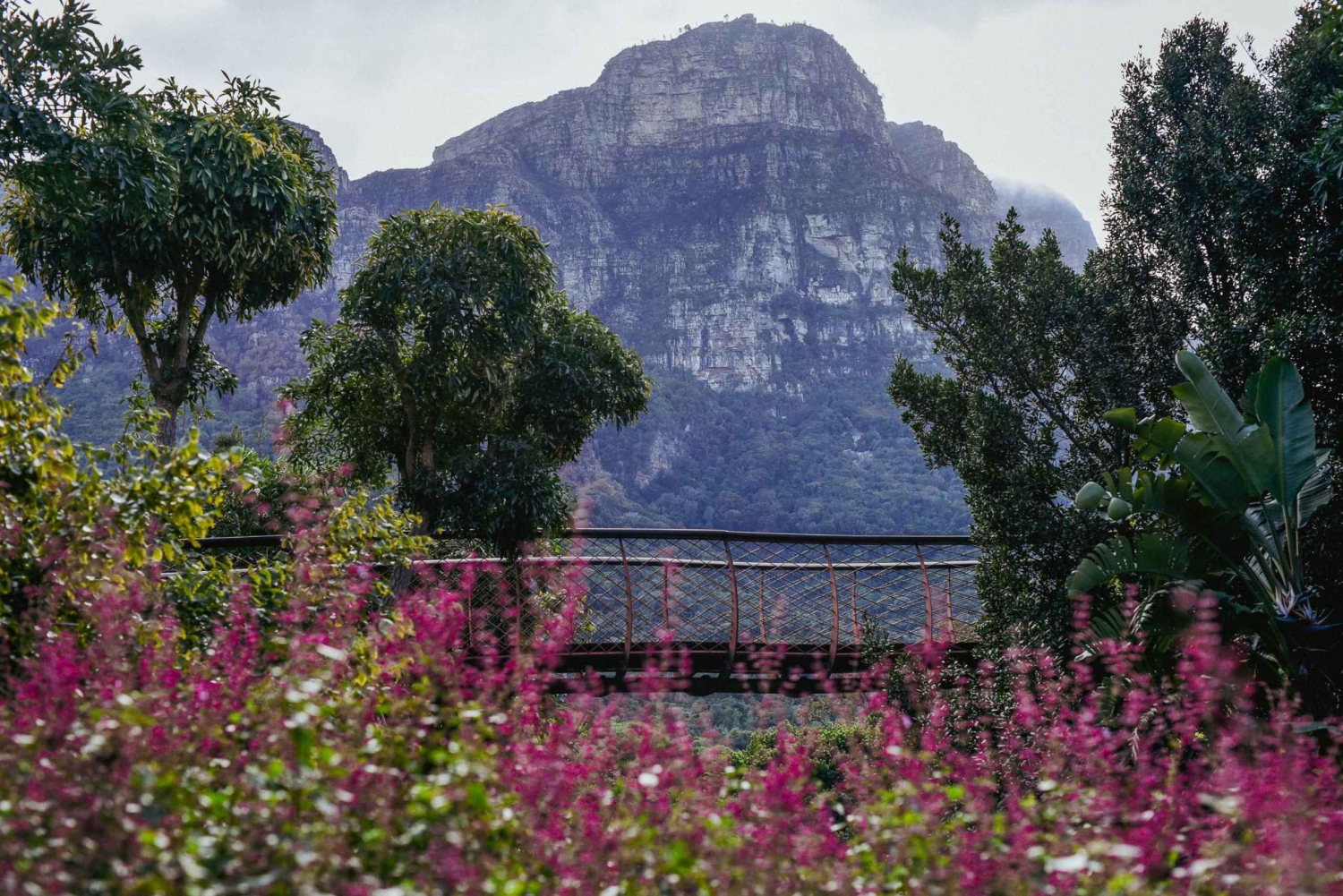 Kirstenbosch Botanical Garden & Constantia Wine Valley Tour