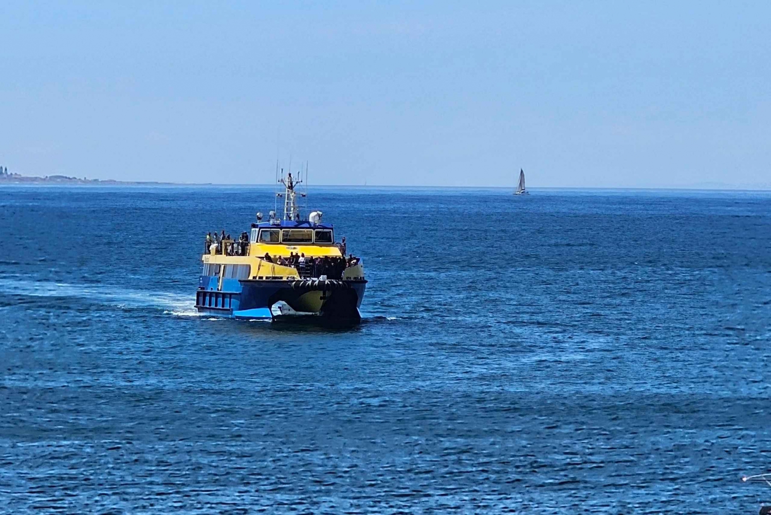 Кейптаун: Океанское сафари, 1 час