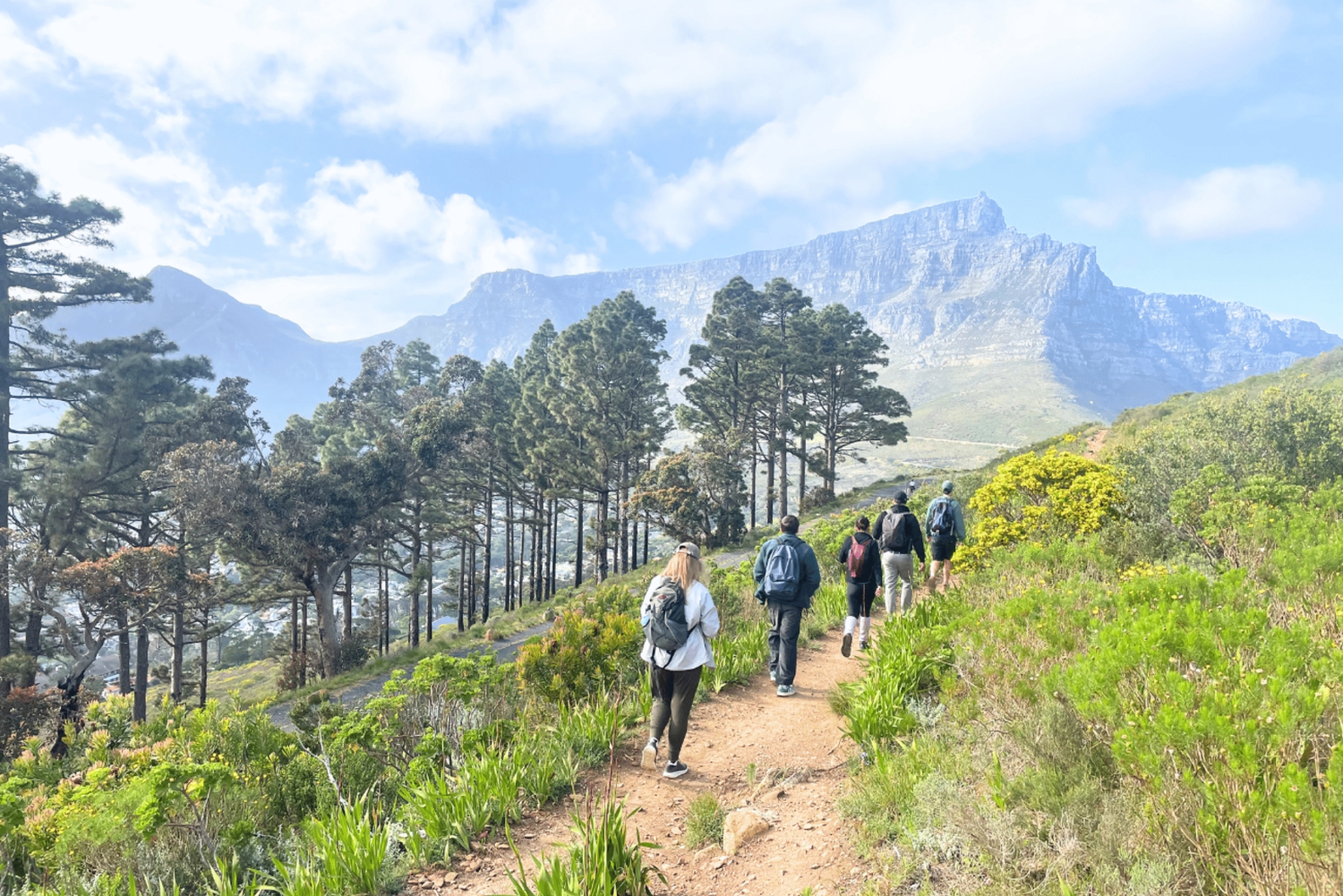 Excursão a pé de aventura da montanha ao mar, Cidade do Cabo