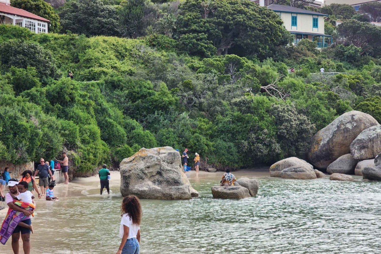 Strandtag am Boulder's Beach & Pinguinbeobachtung, Halbtagestour