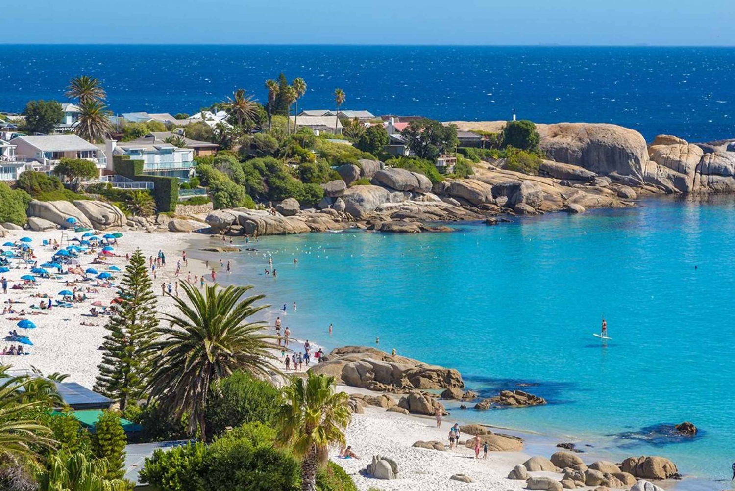 Wycieczka na półwysep: Całodniowa wycieczka do Cape Point i Penguin Beach