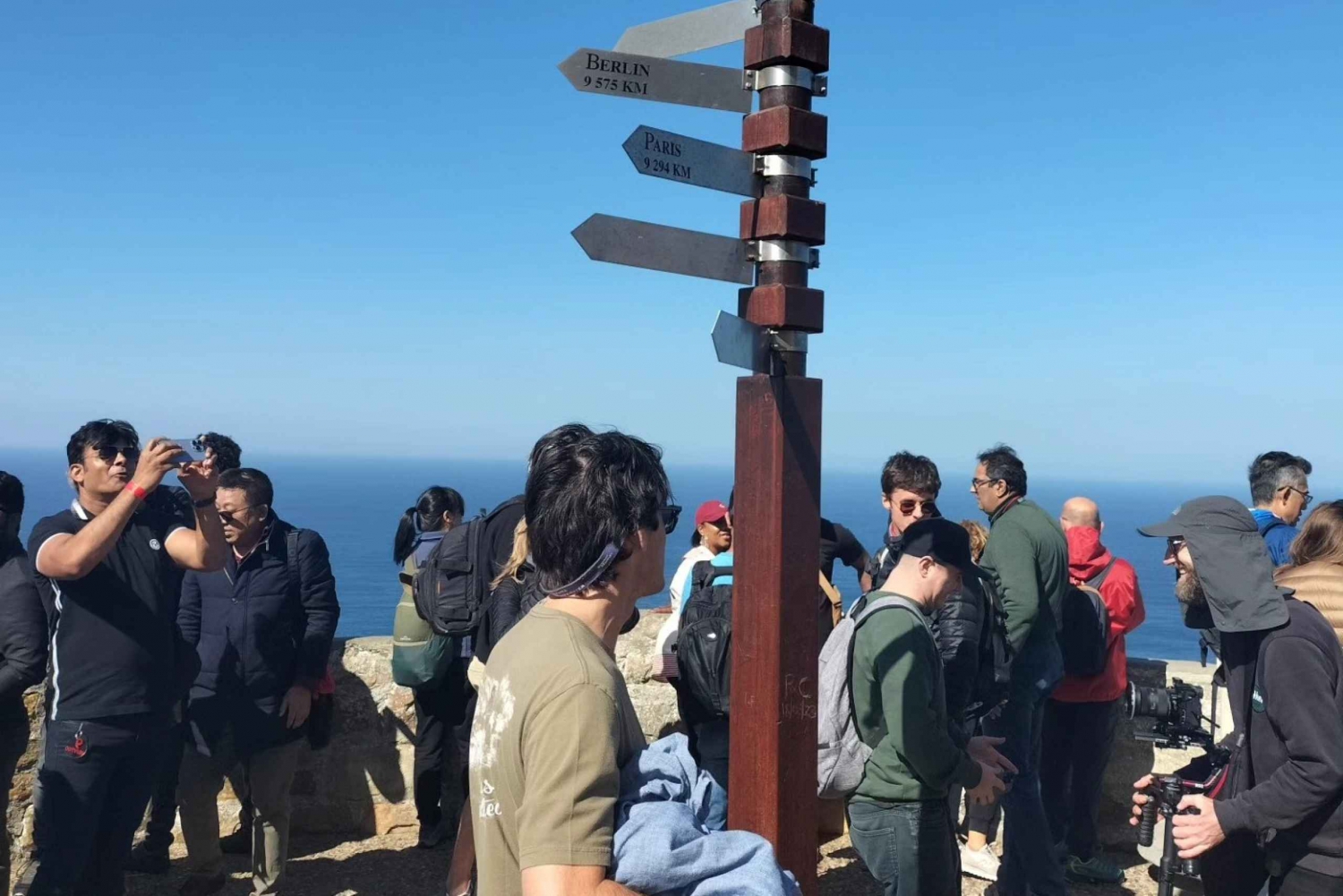 プライベート ツアー: ケープ半島とペンギン ビーチ、ケープ ポイントなど