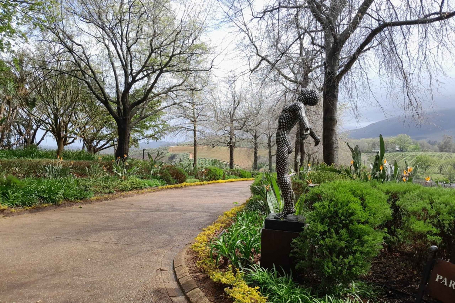 Aventure à Robben Island, aux pingouins et au Cap de Bonne Espérance