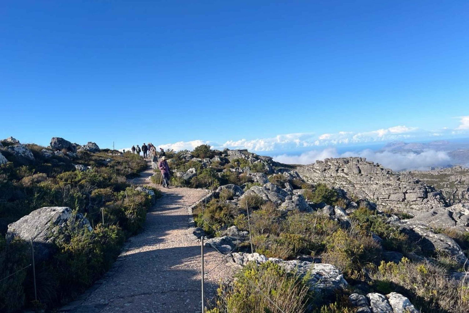 Tafelberg und Constantia Weinverkostung Private Tour