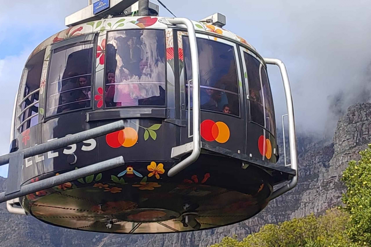 Ciudad del Cabo: tour privado a la montaña de la Mesa, Cape Point y pingüinos