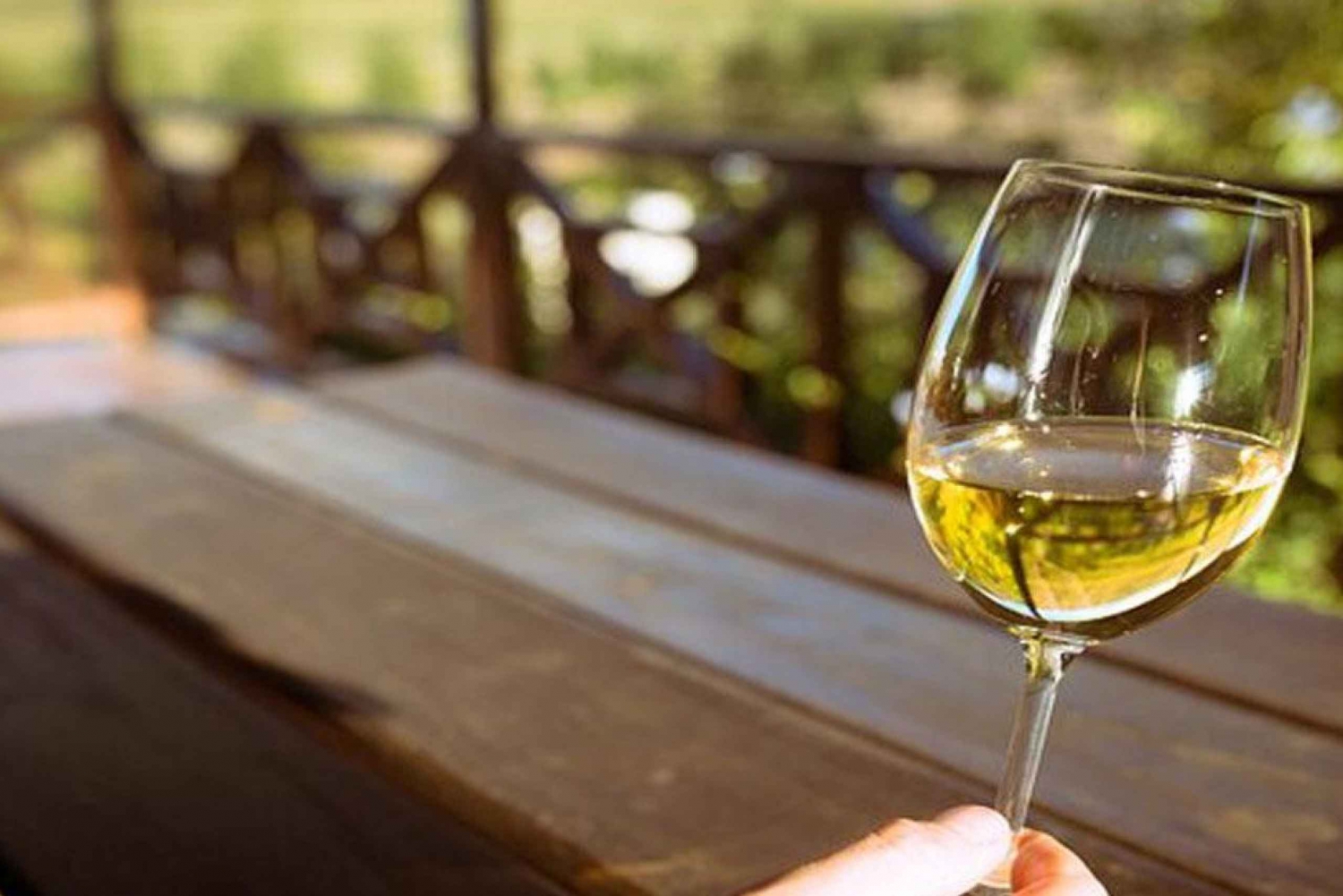 Skreddersydd heldagstur i Stellenbosch Winelands