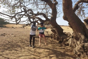 Boa Vista Island: Full-Day Wild Beaches & Viana Desert Tour