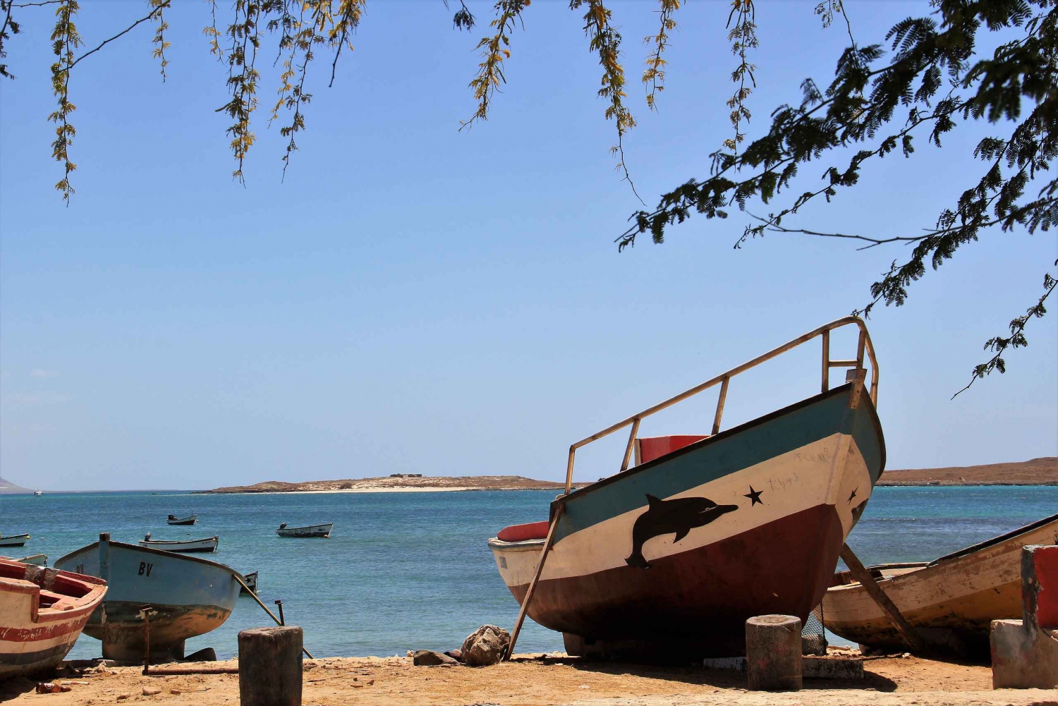 Boa Vista: Shipwreck, Viana Desert & Sal Rei Tour
