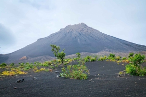 Fogo Island: Pico do Fogo Volcano Summit Hike