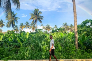 From Praia: Santiago Island Highlights Tour