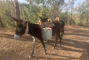 From Praia: Santiago Island Highlights Tour