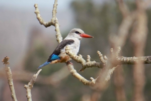 From Praia: Santiago Island Highlights Tour