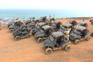 From Santa Maria: Two-Hour 4WD Buggy Desert Adventure