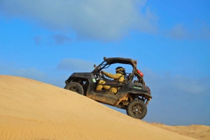 From Santa Maria: Two-Hour 4WD Buggy Desert Adventure
