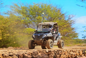 Sal: 4-Hour 4WD SSV Buggy Island Adventure