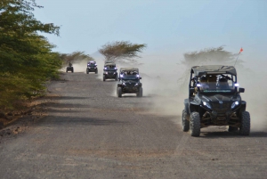 Sal: 4-Hour 4WD SSV Buggy Island Adventure