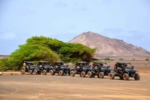 Sal: 4H SSV Buggy Island Adventure 500cc or 1000cc