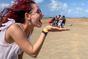 Sal: 6-Hour Experience Tour with a Local Certified Guide