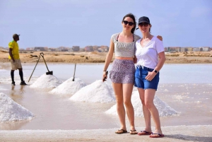 Sal: 6-Hour Experience Tour with a Local Certified Guide