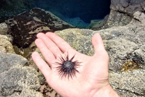 Sal: 6-Hour Experience Tour with a Local Certified Guide