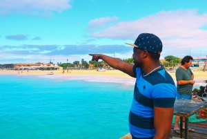 Sal Island: Guided Full-Day Highlights Tour with Lunch